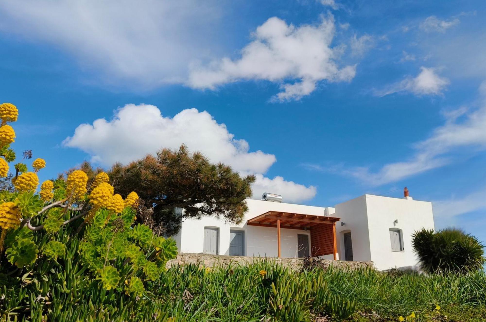 טריפיטי Haroto Suites מראה חיצוני תמונה